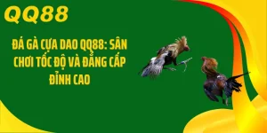Đá Gà Cựa Dao QQ88: Sân Chơi Tốc Độ Và Đẳng Cấp Đỉnh Cao