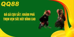 Đá Gà Cựa Sắt: Khám Phá Trọn Vẹn Sức Hút Đỉnh Cao