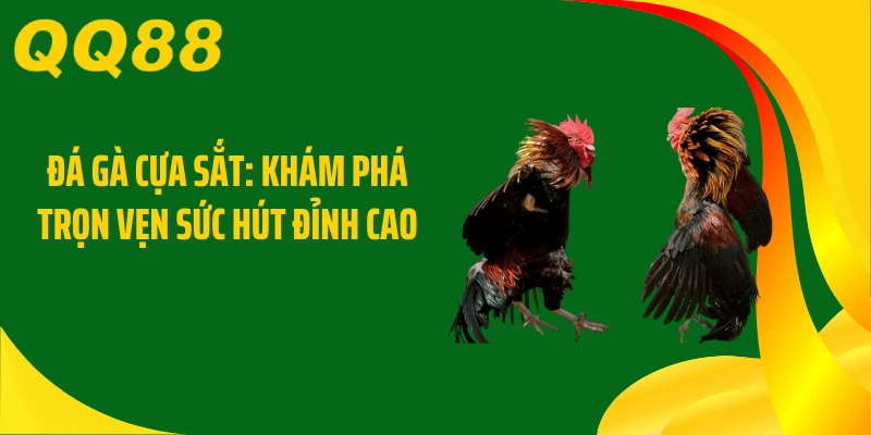 Đá Gà Cựa Sắt: Khám Phá Trọn Vẹn Sức Hút Đỉnh Cao