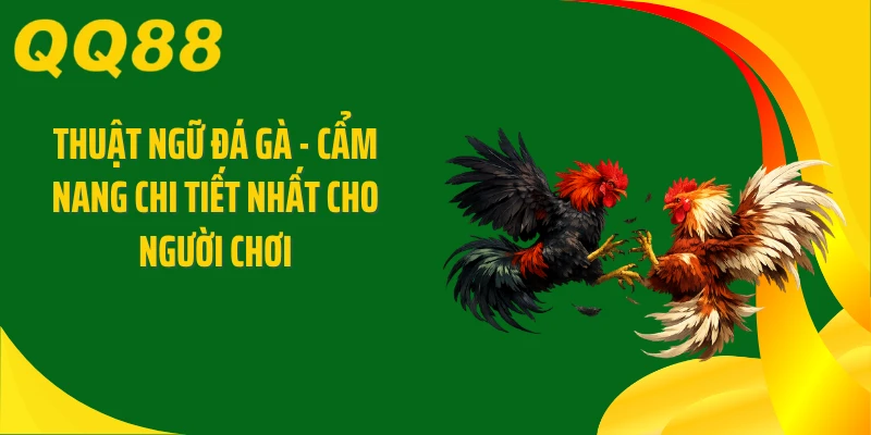 Thuật Ngữ Đá Gà - Cẩm Nang Chi Tiết Nhất Cho Người Chơi